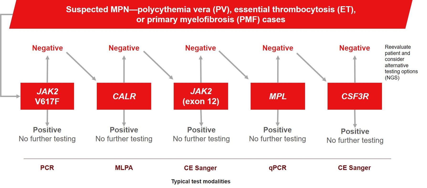Using NextGeneration Sequencing (NGS) to Derive Key Insights in MPN